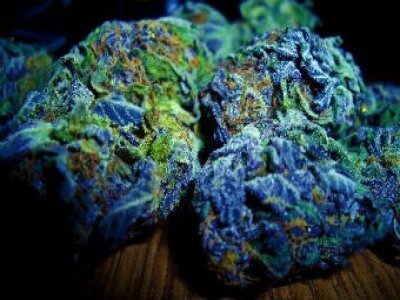 Blueberry Kush